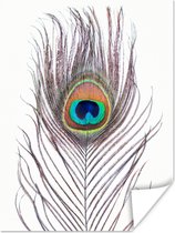 Poster Pauwenveren - Blauw - Veer - Pauw - Dieren - 60x80 cm