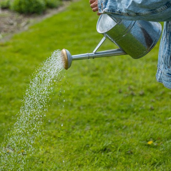 Aaltjes kopen? | Effectieve natuurlijke bestrijding