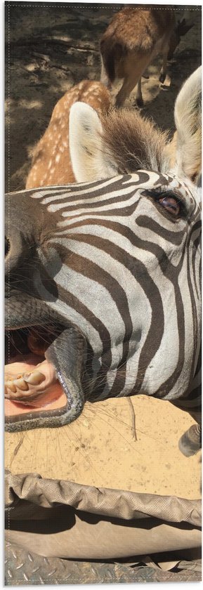 Vlag - Komisch Gezicht van Zebra bij Antilopes - 20x60 cm Foto op Polyester Vlag