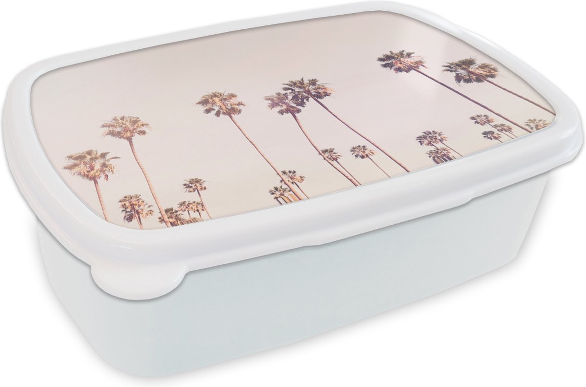 Broodtrommel Wit - Lunchbox - Brooddoos - Palmbomen - Zon - Natuur - Lucht - 18x12x6 cm - Volwassenen