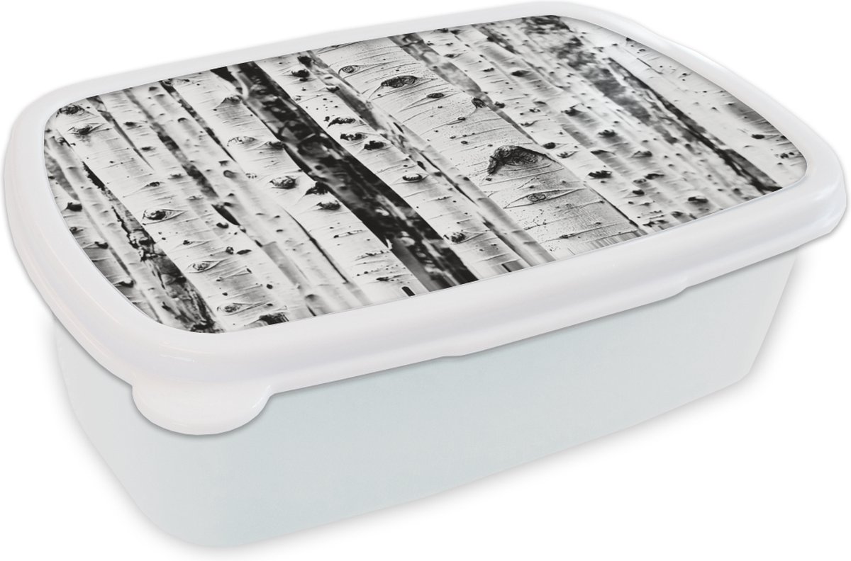 Broodtrommel Wit - Lunchbox - Brooddoos - Bomen - Hout - Zwart wit - Natuur - 18x12x6 cm - Volwassenen