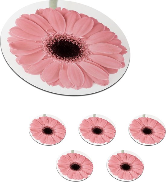 Sous-verres pour verres - Ronds - Bloem - Rose - Nature - Plante - 10x10 cm - Sous-verres - 6 pièces