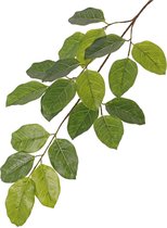 Banyan Ficus tak - Kunstplant - bladsteker - Losse tak - 82 cm - Ø 40 cm