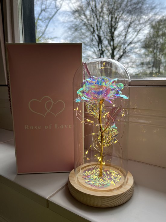Luxe Roos in Glas- Galaxy Roos met LED verlichting - Vrouw - Vriendin - Huwelijk - Interieur - Moederdag - Beauty and the Beast