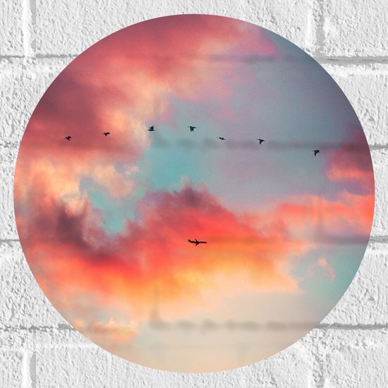 Muursticker Cirkel - Rij Vogels en Vliegtuig Vliegend voorbij Roze Wolken - 30x30 cm Foto op Muursticker