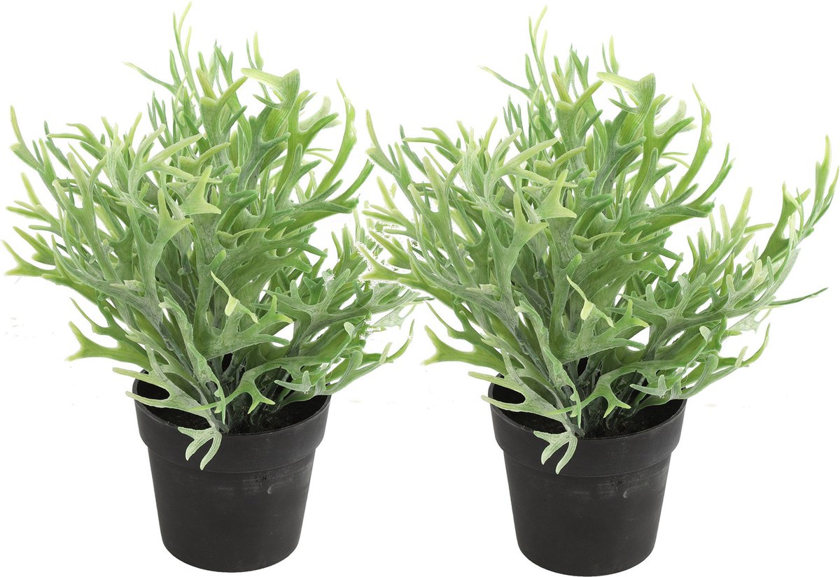 Countryfield Kunstplant Platycerium plant in bloempot - 2x - Groen - 20 x 24 cm