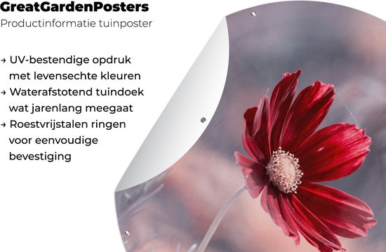 Tuincirkel Bloemen - Rood - Natuur - Planten - 60x60 cm - Ronde Tuinposter - Buiten