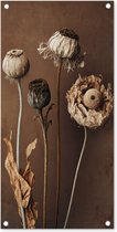 Tuinposter Bloemen - Planten - Droogbloemen - Bruin - 40x80 cm - Wanddecoratie Buiten - Tuinposter - Tuindoek - Schuttingposter - Tuinschilderij