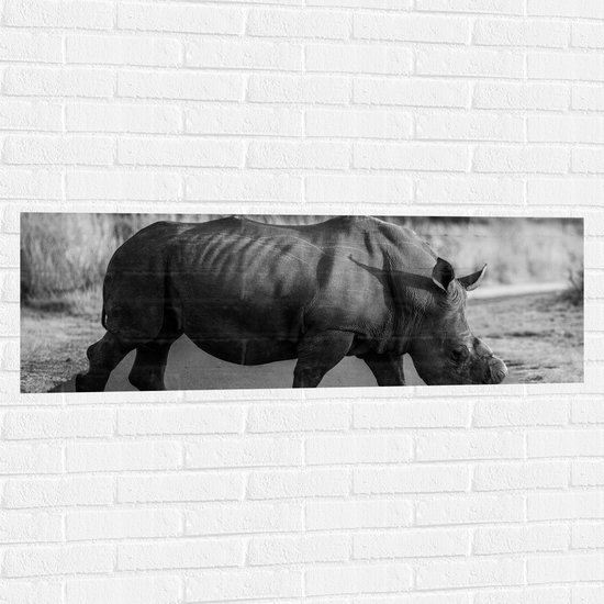 Muursticker - Zijaanzicht van Neushoorn Lopend over Weg (Zwart- wit) - 120x40 cm Foto op Muursticker