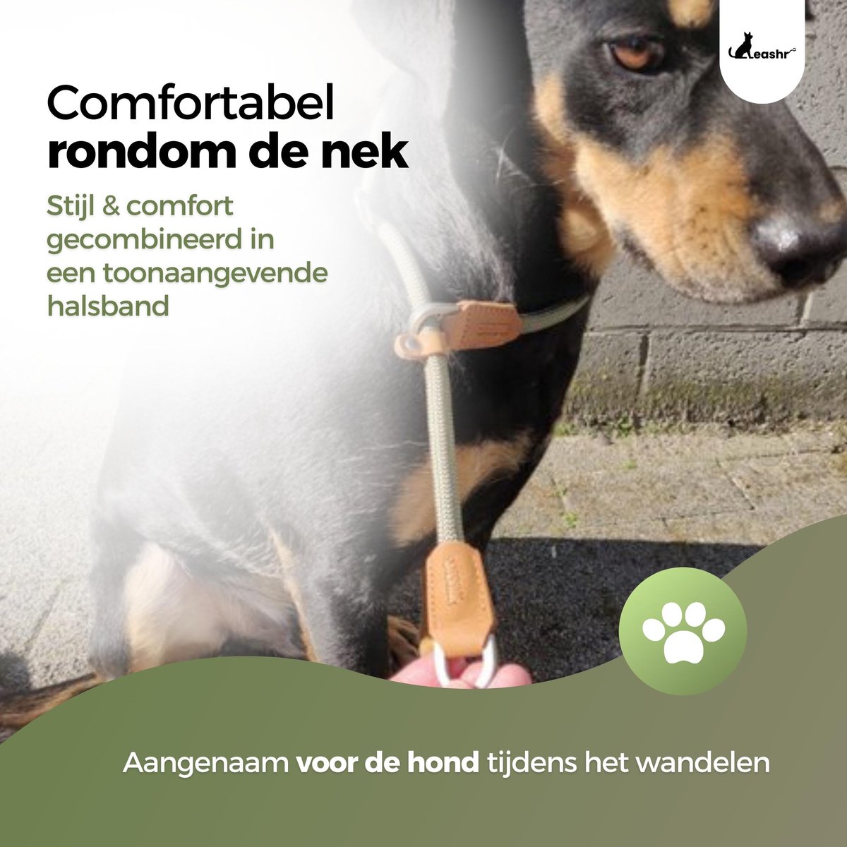 Leashr Hondenhalsband Halsband met Dubbele Stop Half Slip Kaki