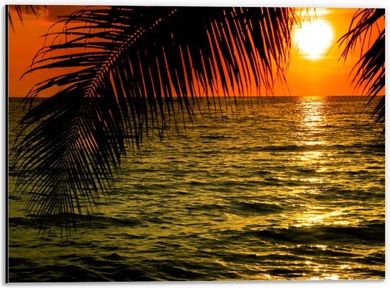 Dibond - Silhouet van Palmbladeren hangend boven de Zee tijdens Zonsondergang - 40x30 cm Foto op Aluminium (Wanddecoratie van metaal)