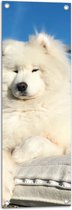 Tuinposter – Witte Pluizige Samoyeed Hond op Bank op Balkon - 30x90 cm Foto op Tuinposter (wanddecoratie voor buiten en binnen)