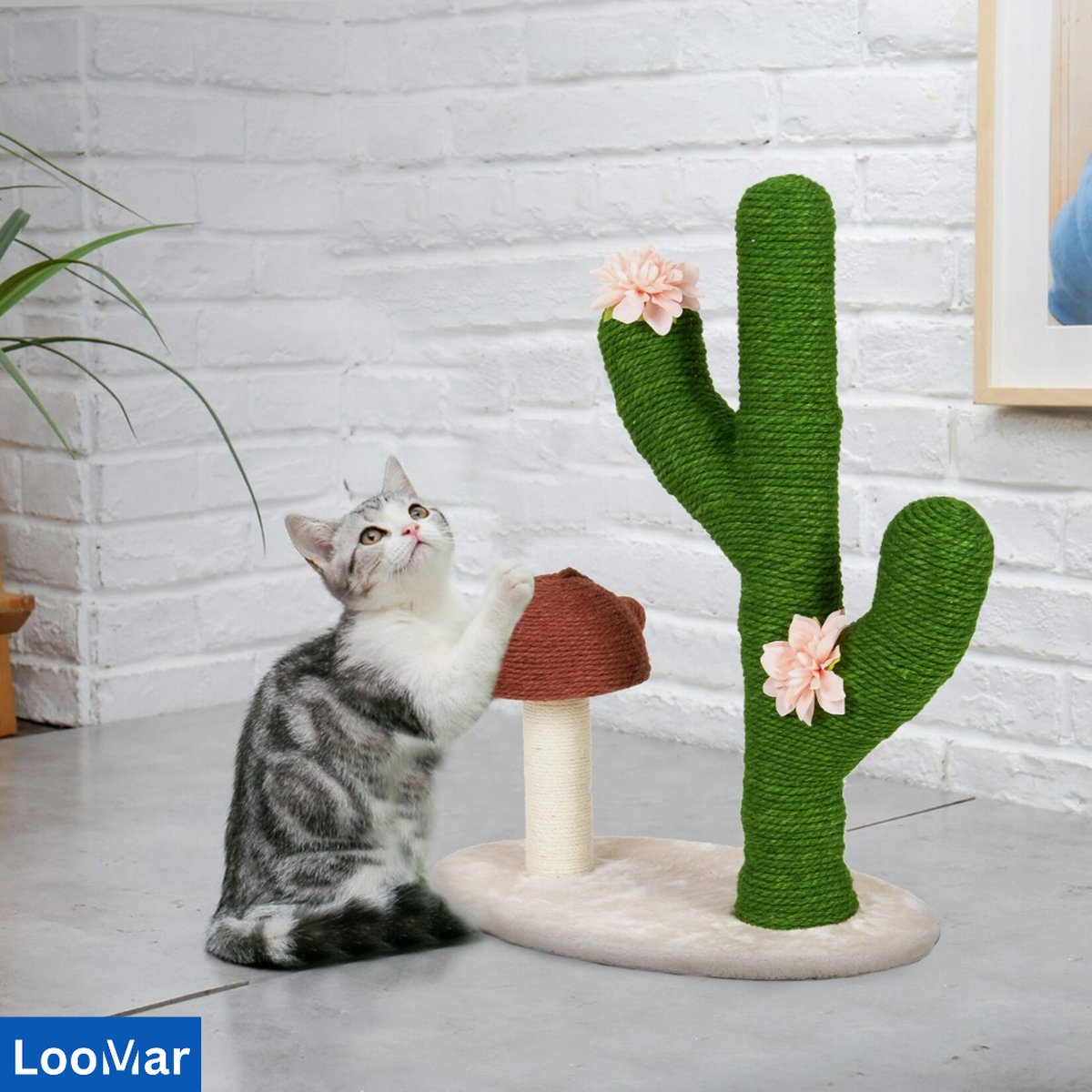 LooMar Katten krabpaal - katten krabpaal voor grote katten - Katten Krabmeubel - Kattenspeeltjes - Cactus