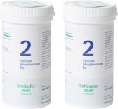 Pfluger Schussler Zout nr 2 Calcium Phosphoricum D6 - 2 x 400 tabletten