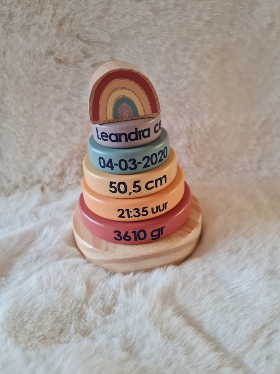 Stapelstein - Regenboog Set, 6 stuks - Reiger en de Raaf