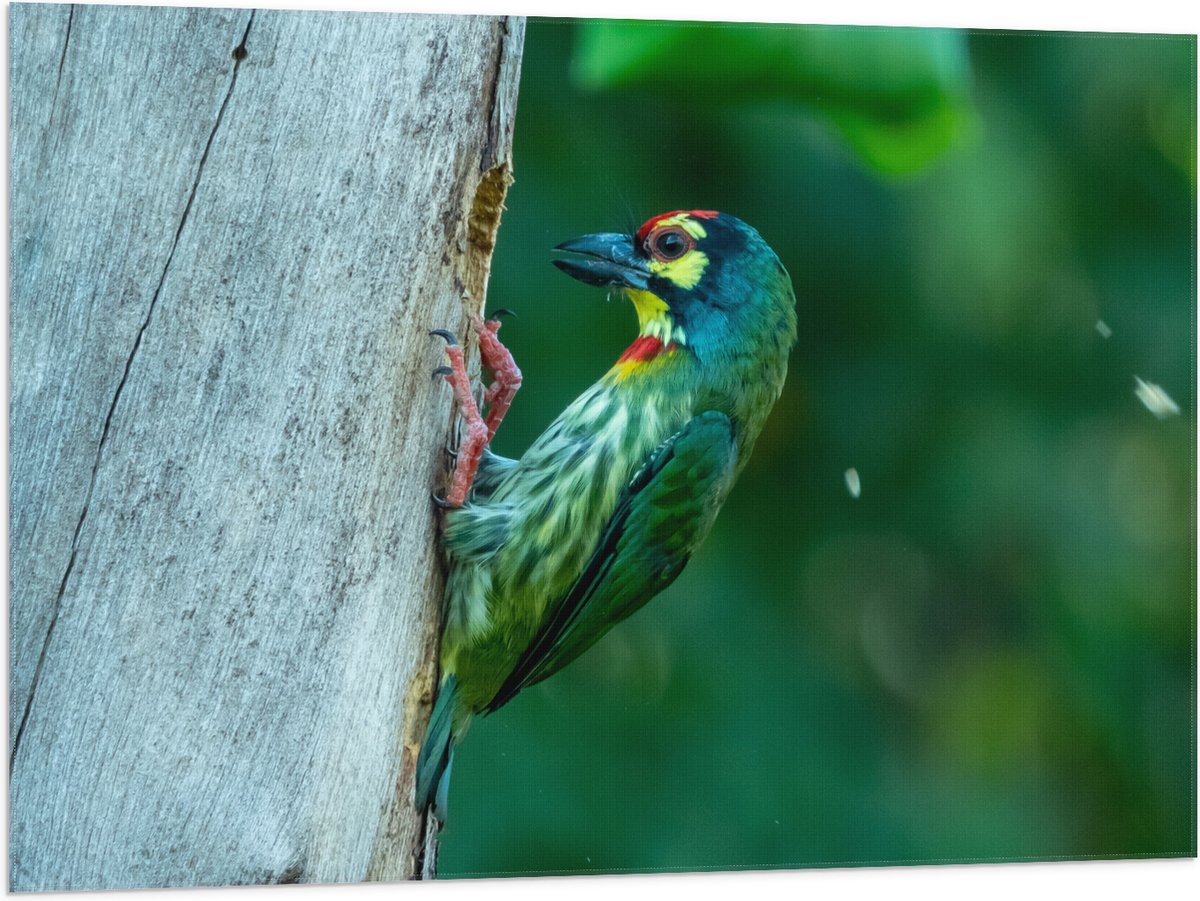 Vlag - Groene Kopersmid Vogel tegen Boomstam in de Groene Natuur - 100x75 cm Foto op Polye