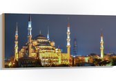 WallClassics - Hout - Sultan AhmetMoskee in de Nacht in Istanbul, Turkije - 100x50 cm - 9 mm dik - Foto op Hout (Met Ophangsysteem)