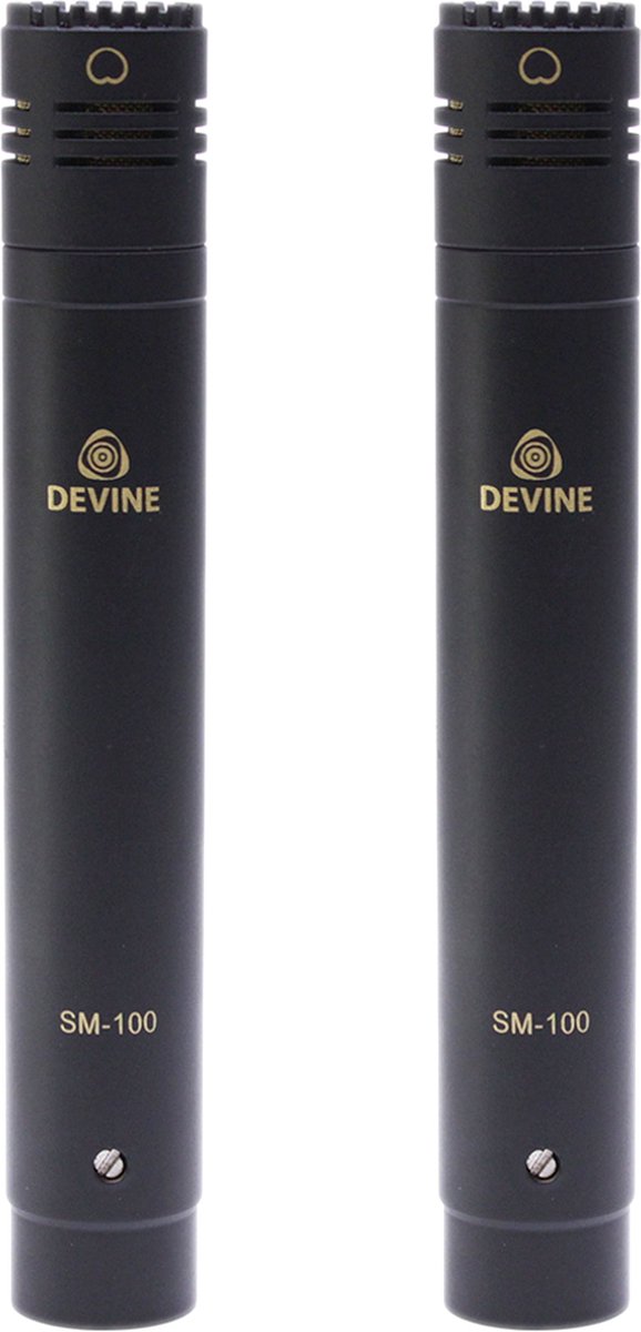 Devine SM-100 kleinmembraan-microfoon stereo-set