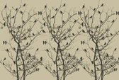 Fotobehang - Vlies Behang - Bomen en Vogels - 368 x 254 cm