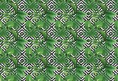 Fotobehang - Vlies Behang - Geometrie en Groene Jungle Bladeren - 416 x 254 cm
