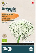 Tandenstoter the Giant Organic Seeds (Bio)