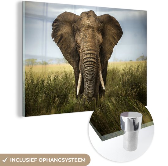 Glazen wanddecoratie van een olifant in een grasveld, met ophangsysteem.