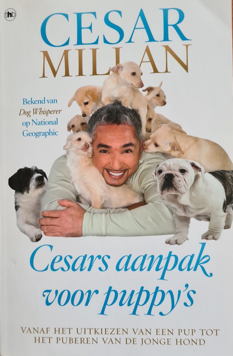 Cesars aanpak voor puppy's - Cesar Millan