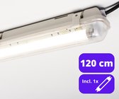 LongLife LED TL Luminaire complet avec tube LED TL 120 cm - 3 couleurs de lumière - 18W (36W)