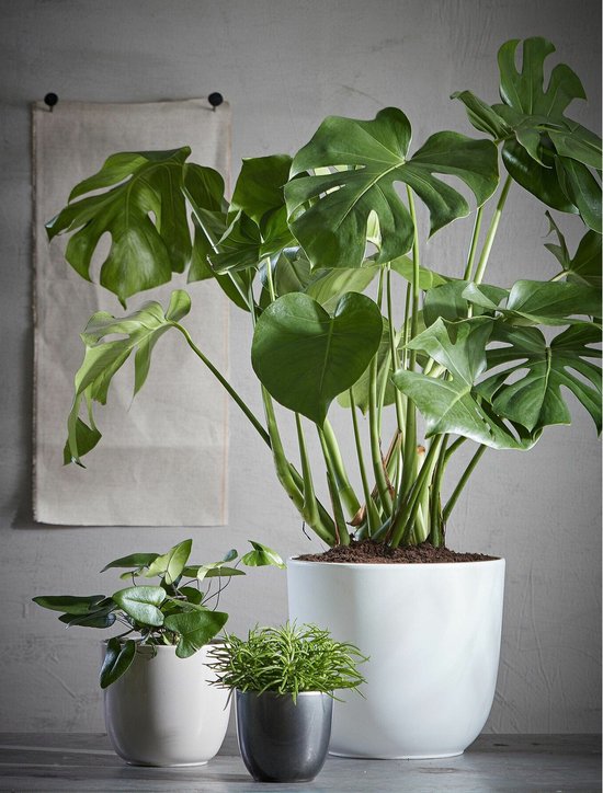 Mica Decorations Bloempot - antraciet grijs - keramiek - 10 x 9 cm - plantenpotten