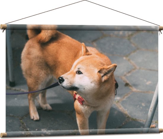 Textielposter - Aangelijnde Shiba Inu Hond op Terras - 90x60 cm Foto op Textiel