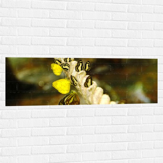Muursticker - Dik Gedraaid Touw vol Zwart met Gele Vlinders - 120x40 cm Foto op Muursticker