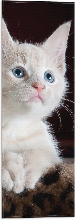 Vlag - Omhoogkijkende Witte Kitten op Panter Kleed - 20x60 cm Foto op Polyester Vlag