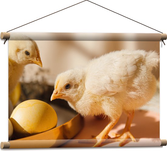 Textielposter - Kuikens bij Eieren met Schaduwen - 60x40 cm Foto op Textiel