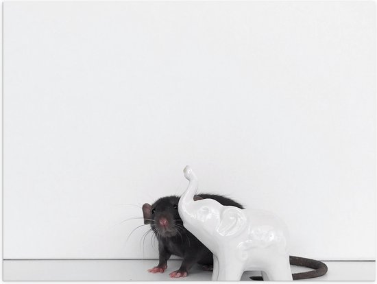 Poster Glanzend – Grijze Muis bij Miniatuur Olifanten Beeldje tegen Witte Muur - 40x30 cm Foto op Posterpapier met Glanzende Afwerking