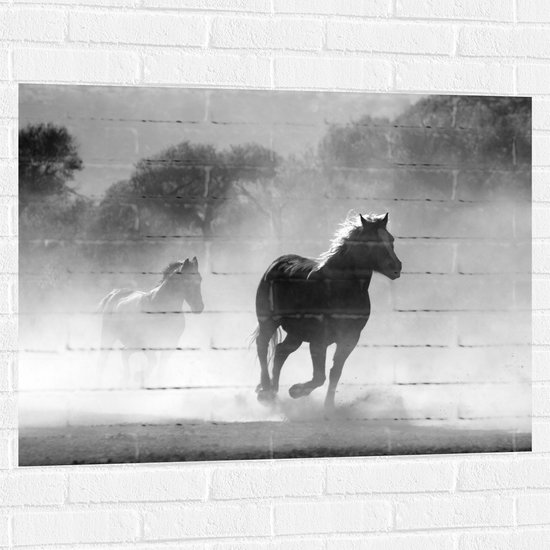 Muursticker - Galopperende Kudde Paarden langs Bosrand (Zwart- wit) - 100x75 cm Foto op Muursticker