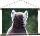 Textielposter - Achteraanzicht van een Pluizige Ringstaartmaki Aap - 60x40 cm Foto op Textiel