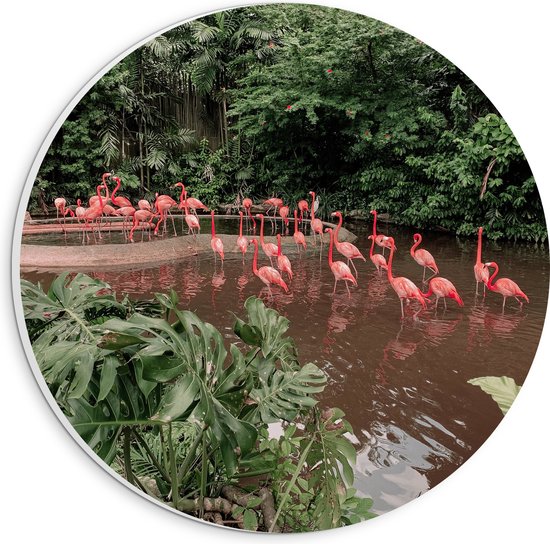 PVC Schuimplaat Muurcirkel - Kolonie Flamingo's in het Water van Groen Bos - 20x20 cm Foto op Muurcirkel (met ophangsysteem)