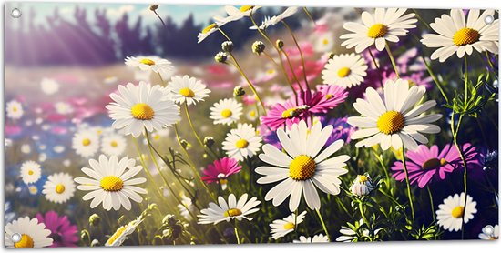 Tuinposter – Bloemenveld Vol Paarse en Witte Madeliefjes - 100x50 cm Foto op Tuinposter (wanddecoratie voor buiten en binnen)