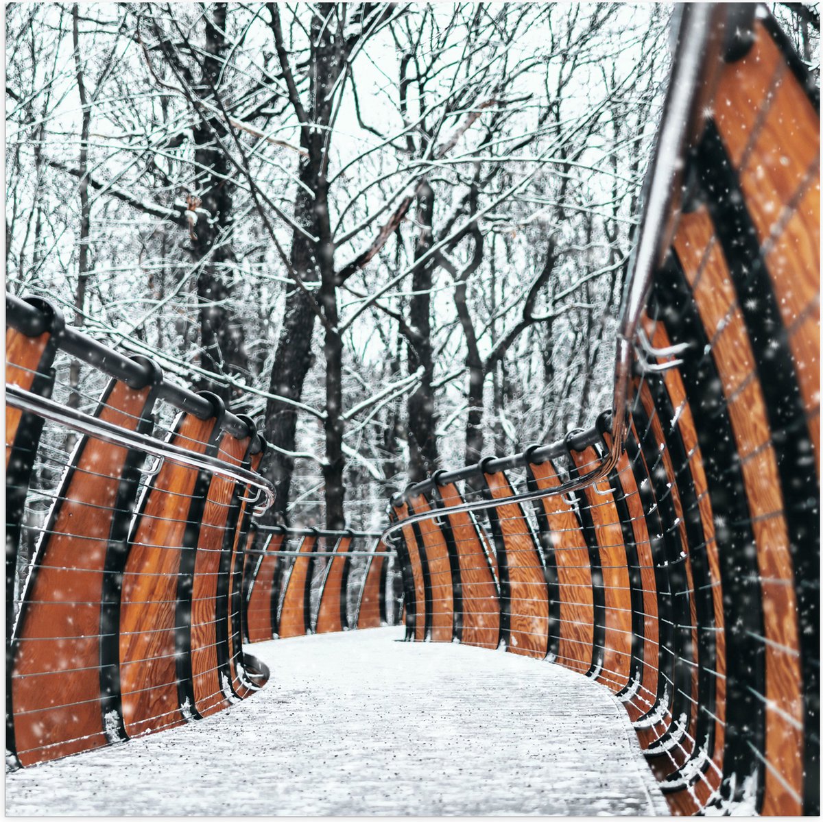 Poster (Mat) - Hekwerk in Ondergesneeuwd Bos - 50x50 cm Foto op Posterpapier met een Matte