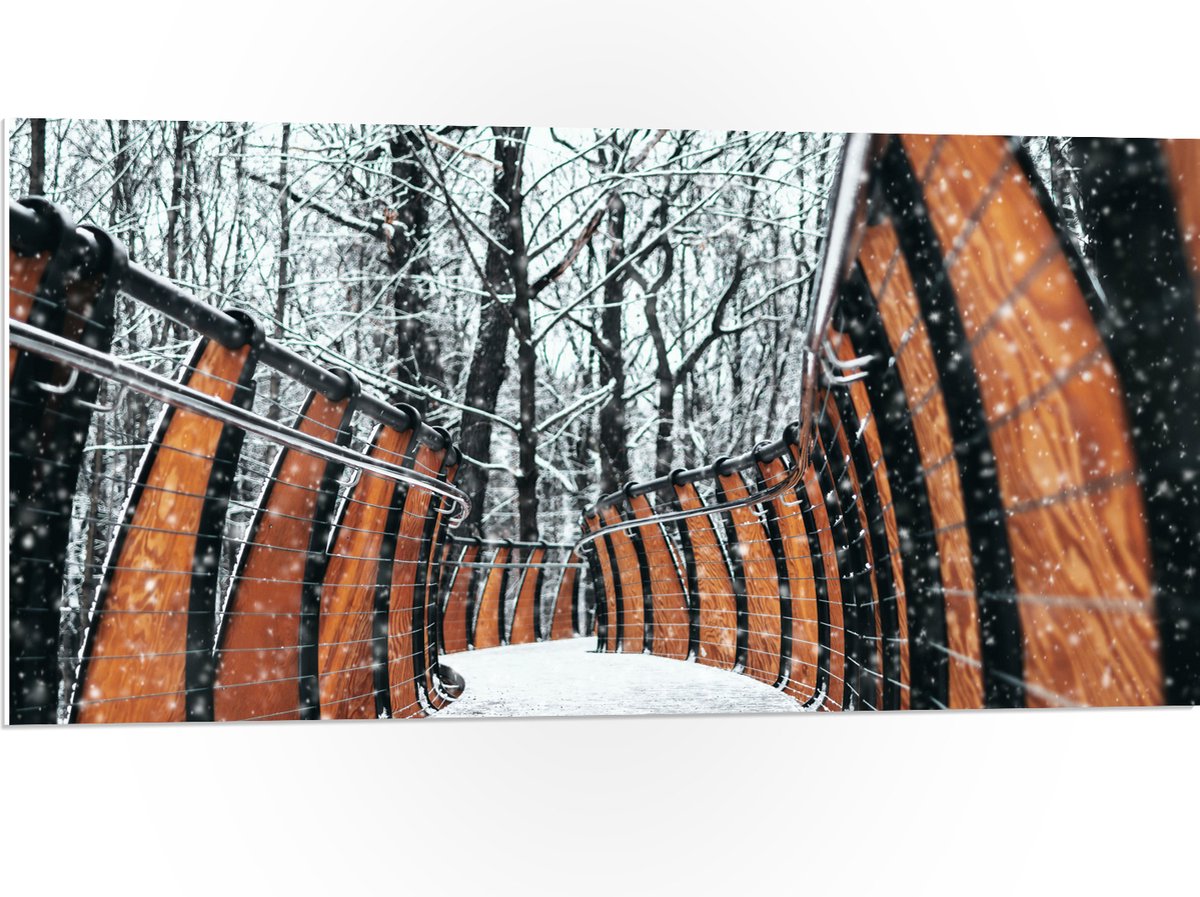 PVC Schuimplaat- Hekwerk in Ondergesneeuwd Bos - 100x50 cm Foto op PVC Schuimplaat