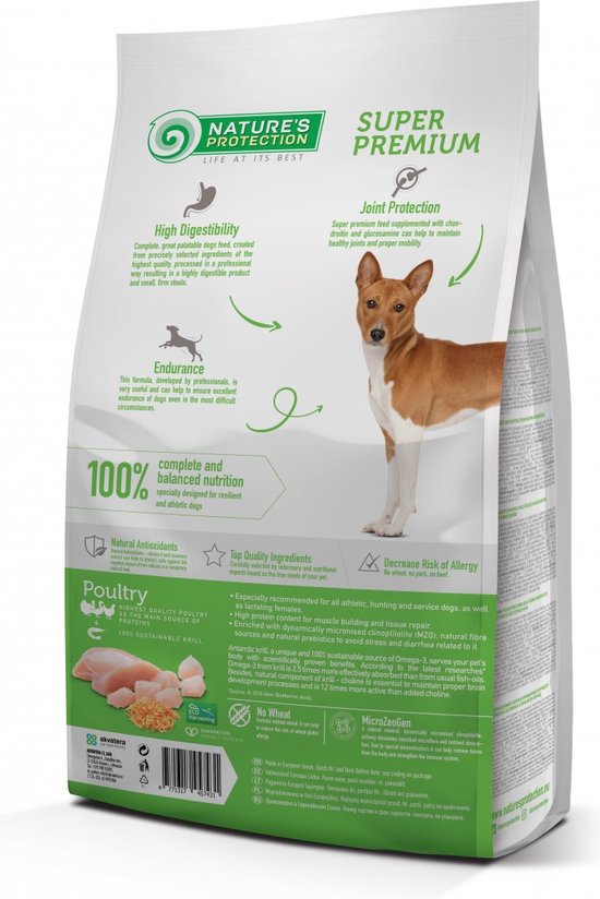 Nature Protection White Dog Puppy