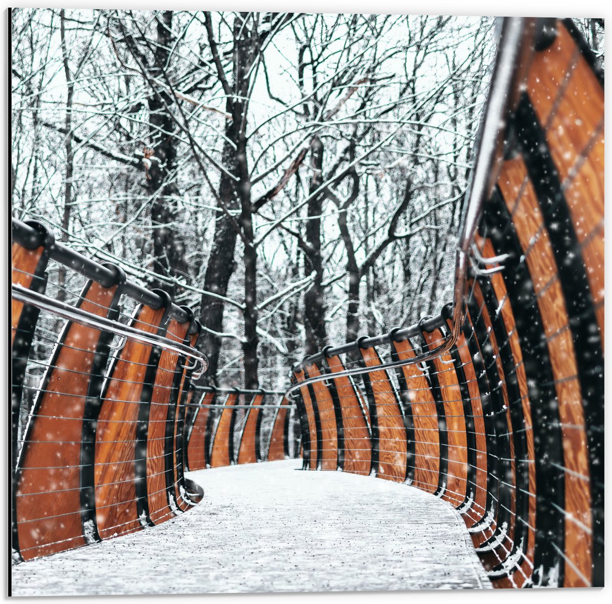 Dibond - Hekwerk in Ondergesneeuwd Bos - 50x50 cm Foto op Aluminium (Wanddecoratie van met