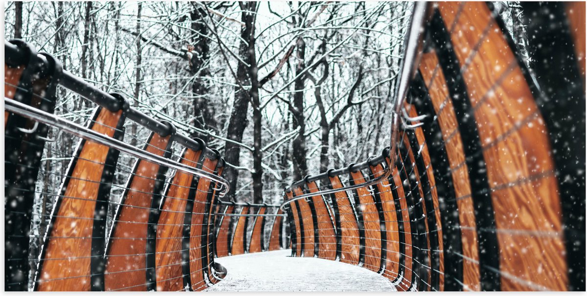 Poster Glanzend – Hekwerk in Ondergesneeuwd Bos - 100x50 cm Foto op Posterpapier met Glanz
