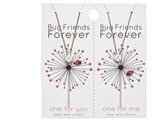 Akyol - Vriendschapsketting - Bug friends forever - lieveheersbeestje vriendschaps ketting - ketting voor twee - vriendinnen ketting - Lieveheersbeestje ketting - Goudkleur en zilverkleur - Voor 2 vriendinnen - BFF - One for you / one for me