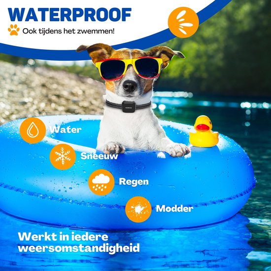 Waterproof: ook tijdens het zwemmen! Werkt in iedere weersomstandigheid: water, sneeuw, regen, modder. Hond met zonnebril in water.