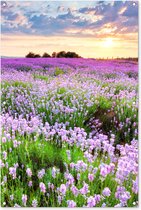 Tuinposter bloemen - Tuindecoratie lavendel paars - 80x120 cm - Tuinschilderij voor buiten - Tuindoek zonsondergang - Wanddecoratie tuin - Schuttingdoek - Balkon decoratie - Muurdecoratie natuur landschap - Buitenposter schutting