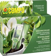 COMPO Voedingskuur Groene & Bloeiende Kamerplanten - voedt en herstelt verzwakte planten - gebruiksklare dosissen - doosje 5 x 30 ml