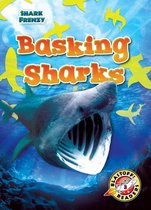 Shark Frenzy - Basking Sharks