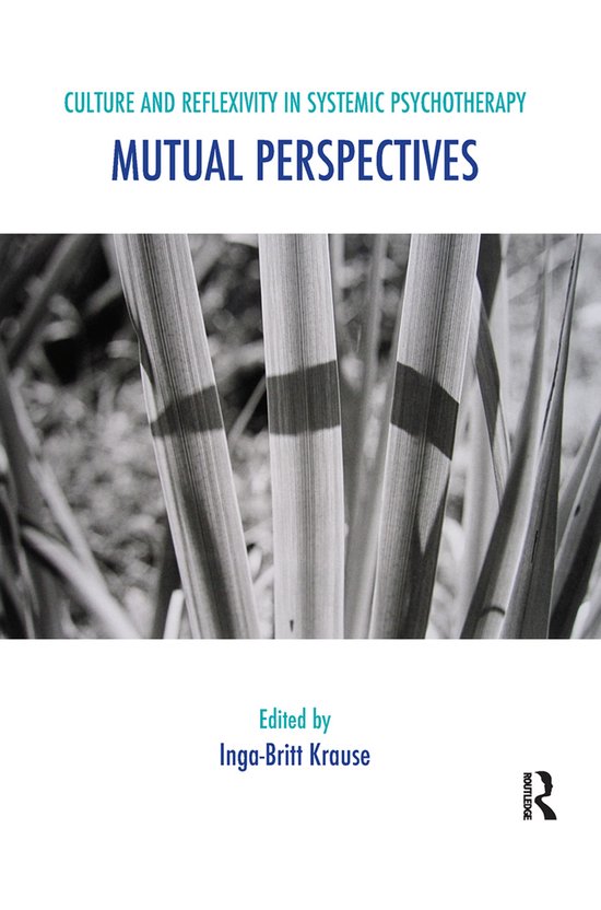 The Systemic Thinking and Practice Series: Work with Organiz ... - cover