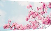 Gards Tuinposter Roze Bloesemboom - Bloemen - 200x100 cm - Tuindoek - Tuindecoratie - Wanddecoratie buiten - Tuinschilderij